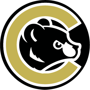 Ballers Fast Pitch Softball