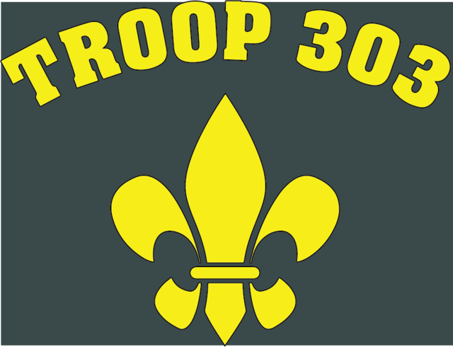 Troop 228 Boy Scouts
