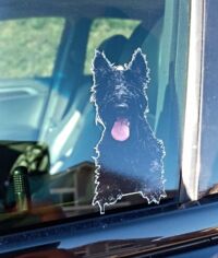 Violet Sticker.jpg Thumbnail